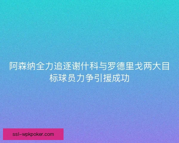 阿森纳全力追逐谢什科与罗德里戈两大目标球员力争引援成功