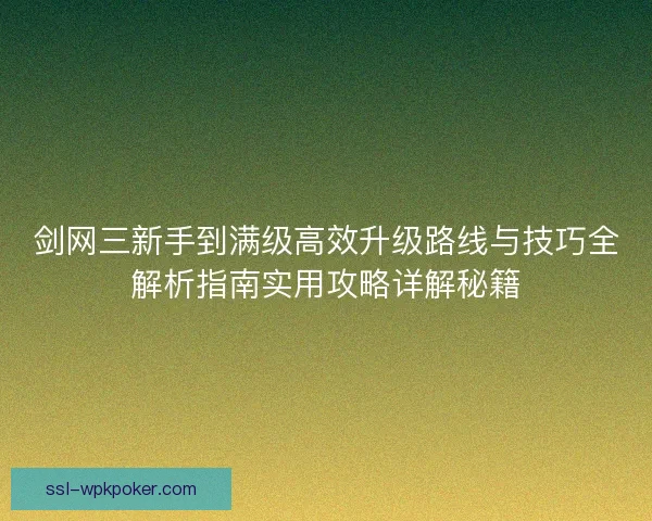 剑网三新手到满级高效升级路线与技巧全解析指南实用攻略详解秘籍