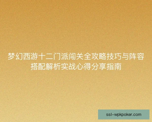 梦幻西游十二门派闯关全攻略技巧与阵容搭配解析实战心得分享指南